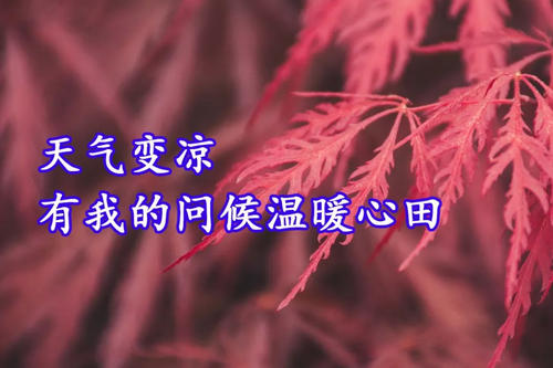 我担心“她”_800字