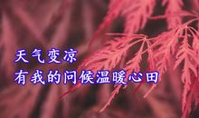 我牵挂“她”_800字