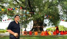 菩提树下（一）_1500字