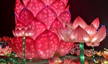 美丽的彩灯公园_500字