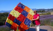 玫瑰之石 之人物篇（一）_300字