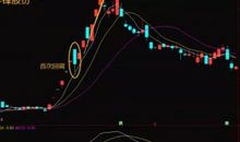 第十一章 意外_650字