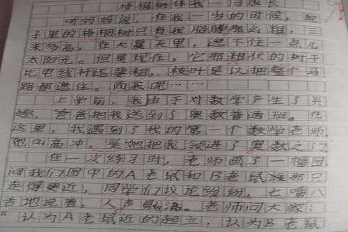 大学入学考试组成的多向使用