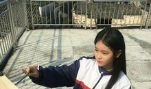 高二写景作文：青山碧水含轩翠_2000字