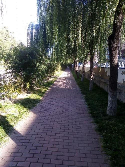 公园的一个角落_750字