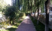 公园的一角_750字