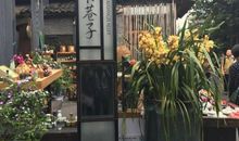 高二写景作文：宽窄巷子_1200字