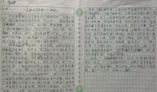 高二写景作文：美丽的雪景_800字