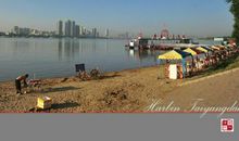 美丽的松花江_550字