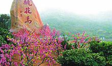 高二写景作文：桃花岛_1000字