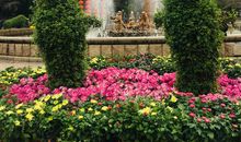 美丽的中山公园_200字