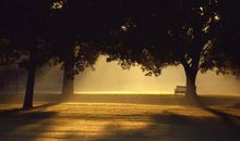 正义缱绻就不孤独_900字