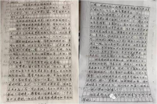 四年级抒情课程组成：当美丽的事情越来越_350字