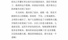 雨滴狂欢节_400字