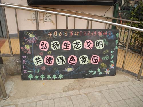 弘扬生态文明，建立一个绿色的家园_900字
