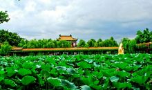 宝墨园之游_400字