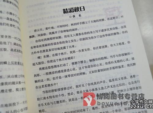 四年级抒情文字：美国_500字