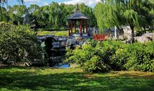 我的家乡一一北京_350字