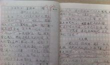 我的一张照片_600字