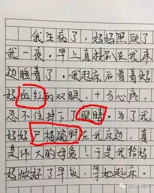 我最喜欢的人_800字