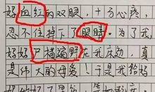 我最喜歡的人_800字