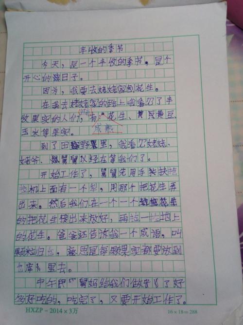 关于爸爸的作文：写给爸爸的心脏_800字