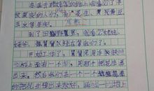 关于爸爸的作文：写给爸爸的心里话_800字