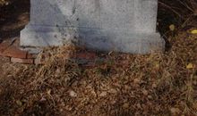 美丽的侨兴公园_550字