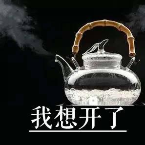 对不起，责怪我_700字