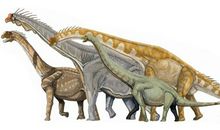 霸王龙和小雷龙