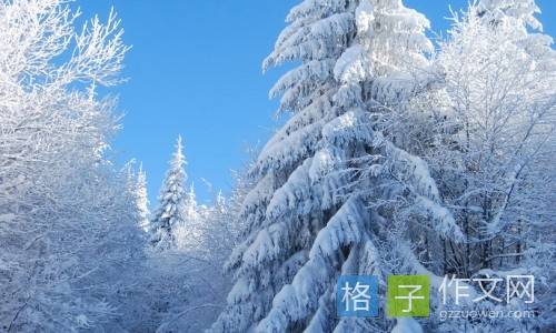 雪景_150字