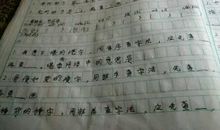 冬的音讯_150字