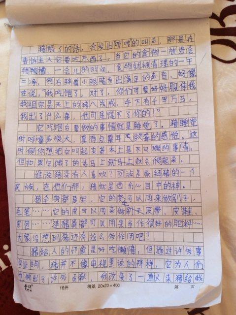 在测试结束时_400字