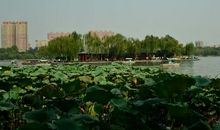 美丽的大明湖_300字