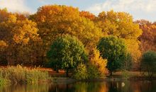 秋天的美景_800字