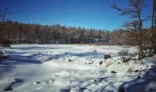 仙境阿尔山_350字