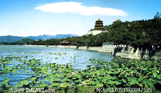 美丽的夏日宫殿_350字