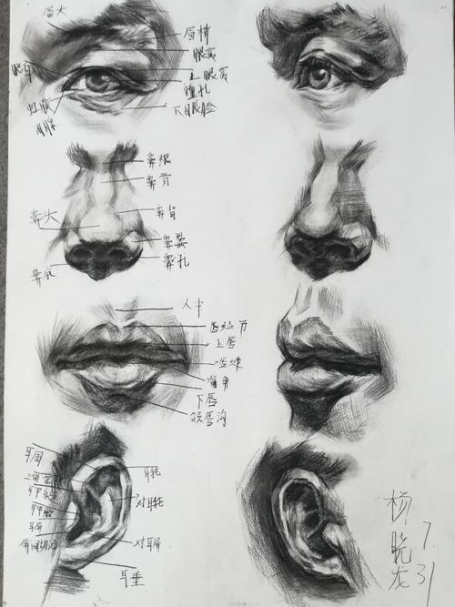 人类的一部分 - 五种感官_450字