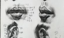 人类重要的一部分---五官_450字