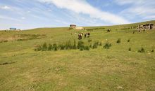 我的家乡在昌吉_700字