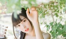 闻到阳光的温柔_300字