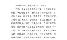 2020年陕西中考优秀作文：合唱_750字