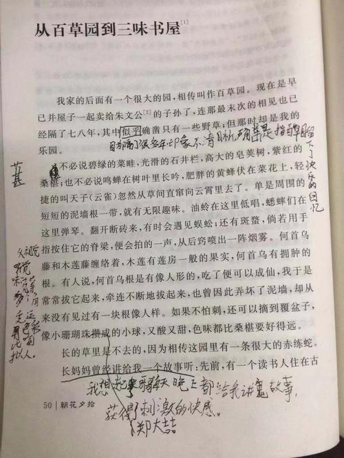 2020张温州中川优秀成分：关于Notes_1500字