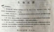 2020年山东滨州中考优秀作文：只要还在（3）_800字