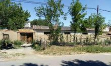 捕捉家乡的足迹_600字