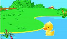 小鸭找家