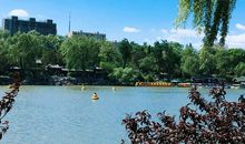 风景优美的紫竹院_200字