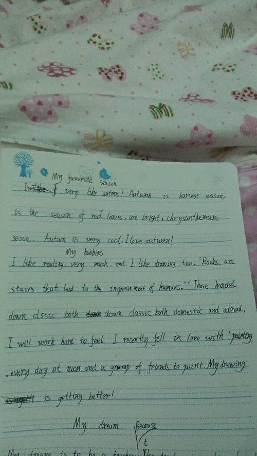 四年代英文作物：我的爱好_250字