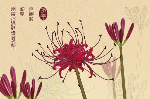 花动力_1000字
