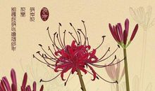 花的力量_1000字